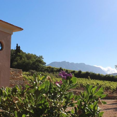 La Bastide - Le Grenache - Le Syrah Au Domaine Chateau Henri Bonnaud Le Tholonet Экстерьер фото
