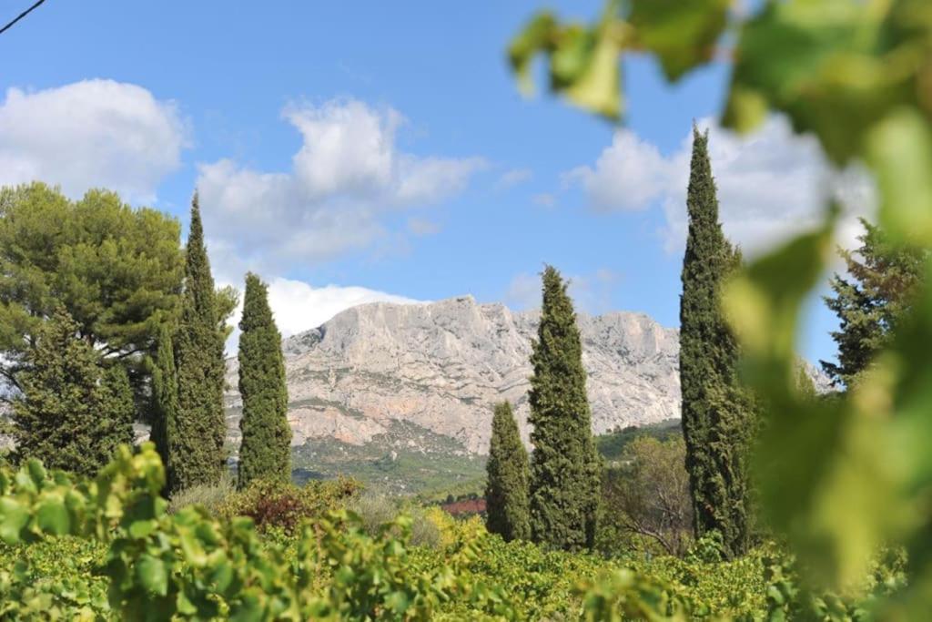 La Bastide - Le Grenache - Le Syrah Au Domaine Chateau Henri Bonnaud Le Tholonet Экстерьер фото
