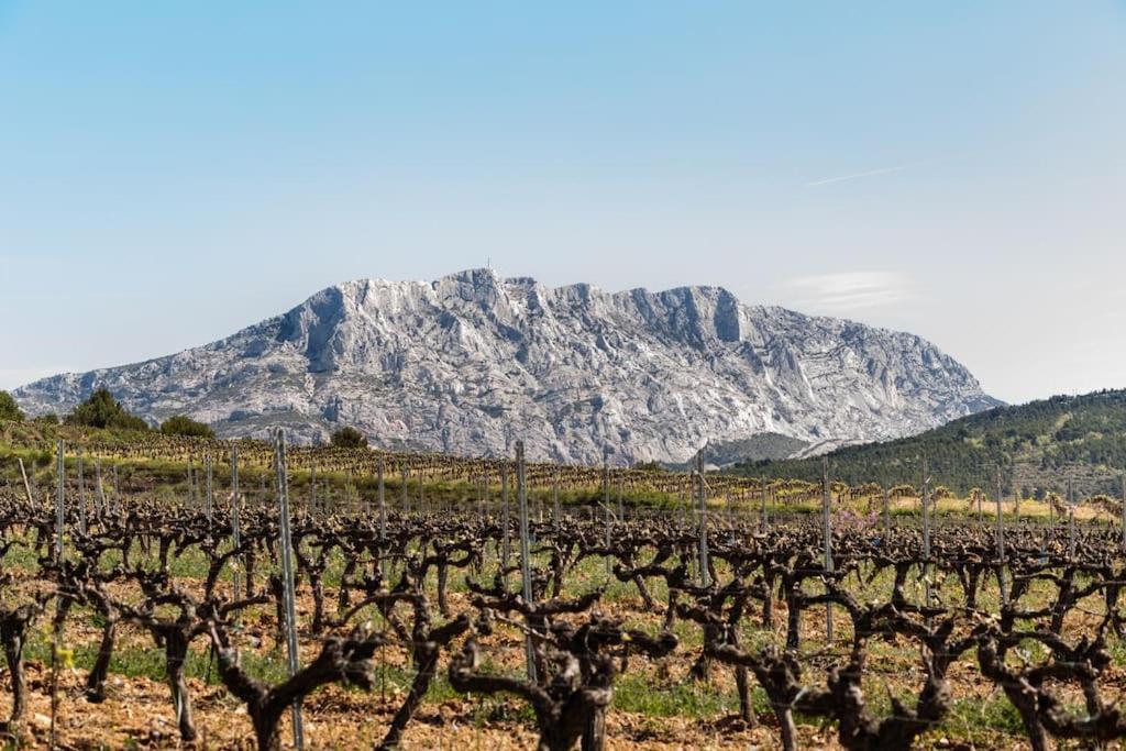 La Bastide - Le Grenache - Le Syrah Au Domaine Chateau Henri Bonnaud Le Tholonet Экстерьер фото