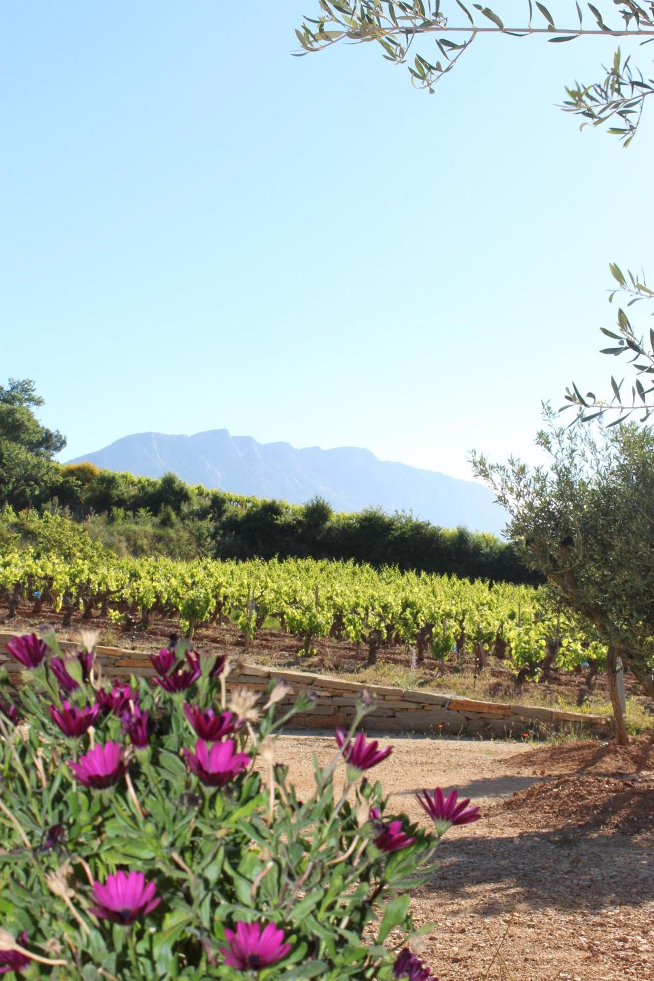 La Bastide - Le Grenache - Le Syrah Au Domaine Chateau Henri Bonnaud Le Tholonet Экстерьер фото