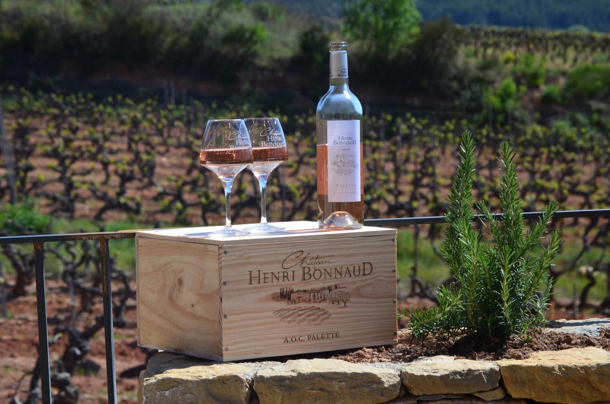 La Bastide - Le Grenache - Le Syrah Au Domaine Chateau Henri Bonnaud Le Tholonet Экстерьер фото
